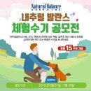 내추럴발란스