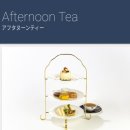카페집사 - 안산시 단원구 선부광장1로 166 | 집사 카페 스왈로우테일 첫 귀가 후기☕️