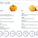 [붓기빠지는 약 ] 시청역 덕수한의원 고운매 디톡스 프로젝트
