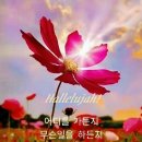 다은 이미지