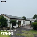 제주 애월 애견동반카페 추천 다과상점 솔직 후기