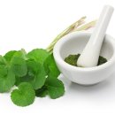 진성헬스케어 | [클렌징 이모저모] 메디필 그린 시카 콜라겐 클리어 2.0 &amp; COSRX 시카 크리미 폼 클렌저