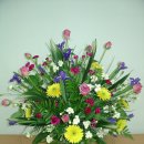 밀드플레 이미지