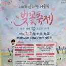 (주)지금 | 신대방 벚꽃축제 후기, 도림천 벚꽃 지금이 막바지 (이번 주 지나면 끝)