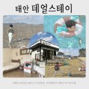 갯벌놀이펜션 | 데얼스테이 태안 가족 독채펜션 추천 수영장 사우나 갯벌체험