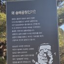 송해공원 제3주차장(1) 이미지