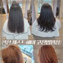 제스트프라자 | 제스트헤어 고잔법원점! 안산미용실 악성곱슬 매직셋팅펌 후기~!