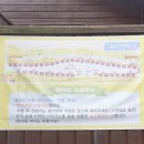 금산 자연 오토캠핑장 네이버블로그