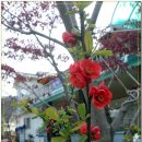 섬사랑민박 - 신안군 원평해수욕장길 20-65 | 섬사랑민박