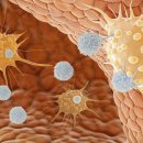 NK메디칼 이미지