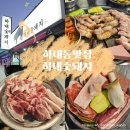 황금돼지삼겹뒷고기 | 진주 하대동 맛집 하대숯돼지 숯불구이 솔직 후기 | 뒷고기 통삼겹 냉목살 맛집