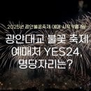 호텔아쿠아팰리스지점 | 2025년 광안대교 불꽃 축제 예매처yes24 , 명당자리
