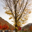 백암산&백양사 산행 (내장산국립공원 2022. 11. 09일) 이미지