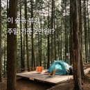 사천 케이블카 자연휴양림 | 이 숲속 뷰가 2만 원?! 경남 사천 케이블카 자연휴양림 캠핑장
