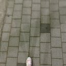 레이짐 | 광주 월산동 헬스장 산후 PT 후기 "더플레이짐 월산점"