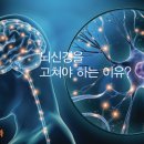 현대 신통 의원 이미지