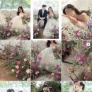 피드로즈 네이버블로그