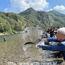 충남도,금산군 금강에 다슬기 20만 패 방류 이미지