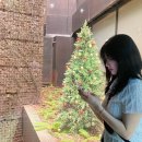 로얄라인의원 이미지