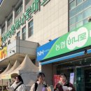 우리들의 경주가 생각나요 이미지