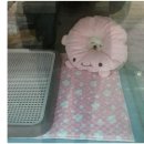 개바라기 네이버블로그