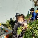 아이들세상어린이집 이미지