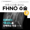 강아지 고관절 탈구 FHNO 수술 후기, 북서울 꿈의 숲 24시 동물병원 치료 과정