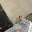 뉴원성형외과의원 이미지