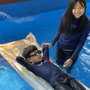 개비리길 펜션 이미지