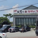 동굴 낙지와 쭈꾸미 이미지