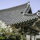 평사(여) Daum카페