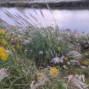 송산2교 이미지