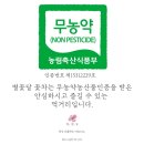 별꽃달