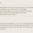 팜스펜션 Daum카페