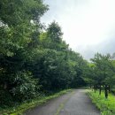 나봄야영장 이미지