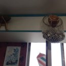 스타이용원 이미지