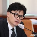 한동훈 국회의원 부지사 지낸 이화영 회유 압박할 간 큰 검사 있겠나 기사 이미지