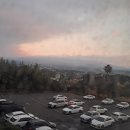 제주 티라 호텔 | 제주 숙소 (티라 호텔, 파크 선샤인) 후기 _ 전망, 조식