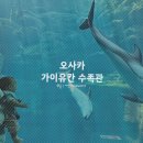 오사카 가이유칸 수족관 입장료 및 유모차 이용 후기 / 8개월 아기