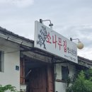 소나무집 이미지