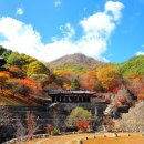 삼성궁 이미지