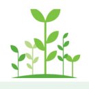 Dream Cat (드림캣) 이미지