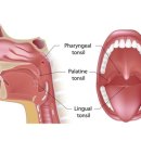 대세당한의원 이미지