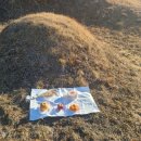 고경면주민센터 | 영천호국원 안치,영천시 고경면 개장 화장