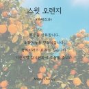 오렌지아로마 이미지