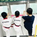 용인대수호태권도전문도장