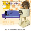 공주애견&Black Dog 이미지