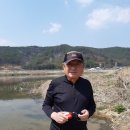 신등천 Daum카페