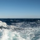 바다약국 이미지