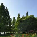 강남스카이학원 네이버블로그